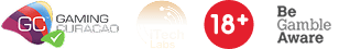 Footer Image